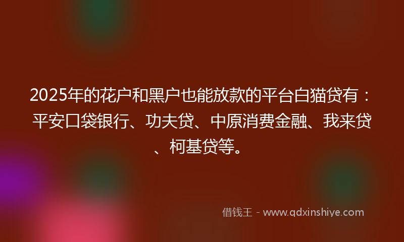 2025年的花户和黑户也能放款的平台白猫贷有：平安口袋银行、功夫贷、中原消费金融、我来贷、柯基贷等。