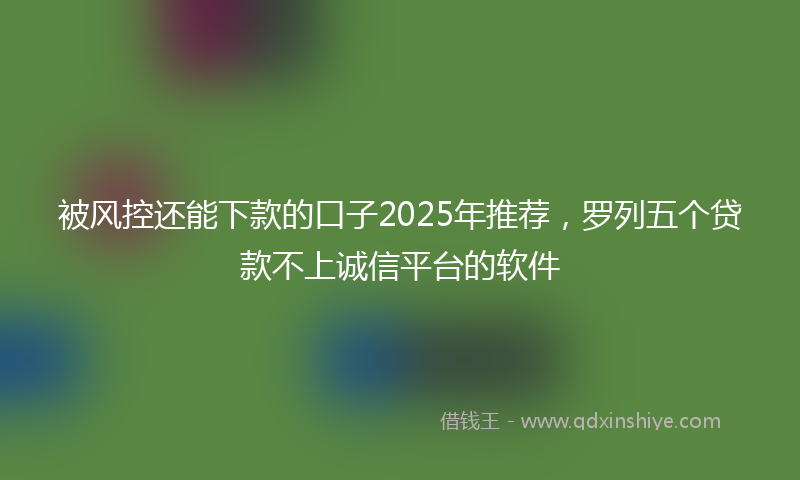 被风控还能下款的口子2025年推荐，罗列五个贷款不上诚信平台的软件