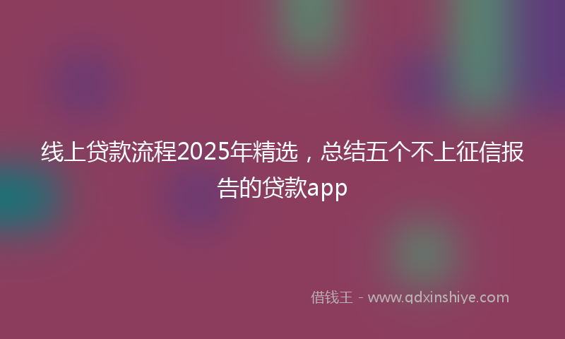线上贷款流程2025年精选，总结五个不上征信报告的贷款app