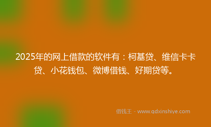 2025年的网上借款的软件有：柯基贷、维信卡卡贷、小花钱包、微博借钱、好期贷等。