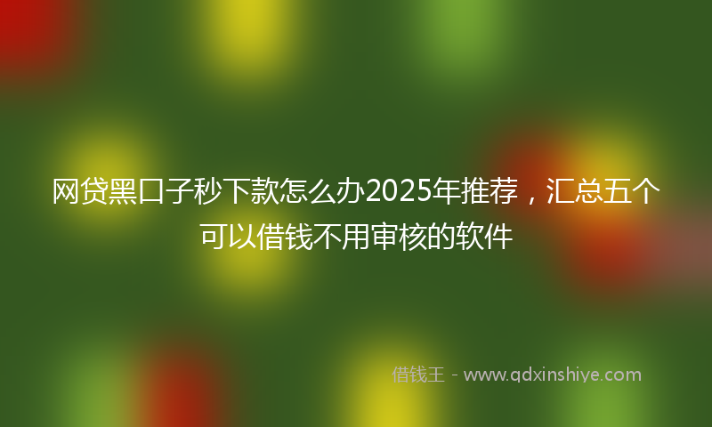 网贷黑口子秒下款怎么办2025年推荐，汇总五个可以借钱不用审核的软件