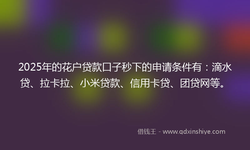 2025年的花户贷款口子秒下的申请条件有：滴水贷、拉卡拉、小米贷款、信用卡贷、团贷网等。