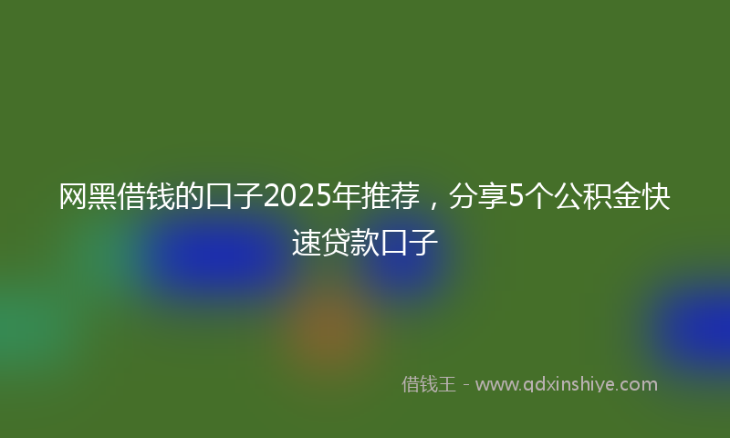 网黑借钱的口子2025年推荐，分享5个公积金快速贷款口子