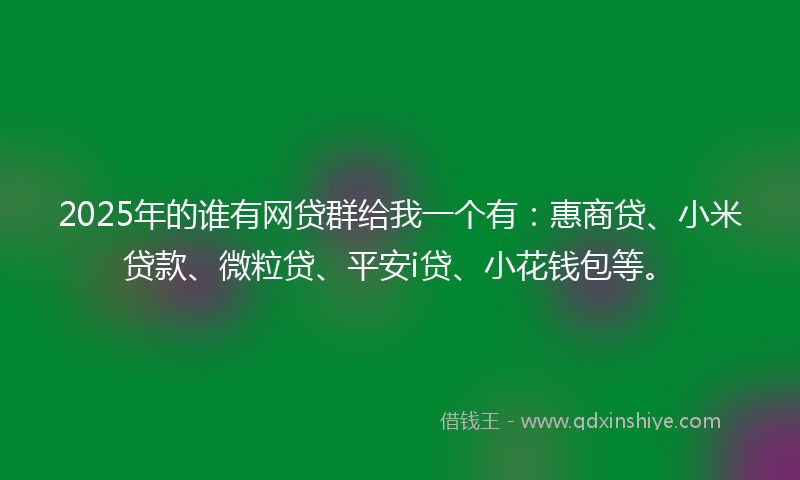 2025年的谁有网贷群给我一个有：惠商贷、小米贷款、微粒贷、平安i贷、小花钱包等。