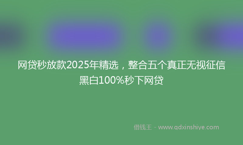 网贷秒放款2025年精选，整合五个真正无视征信黑白100%秒下网贷