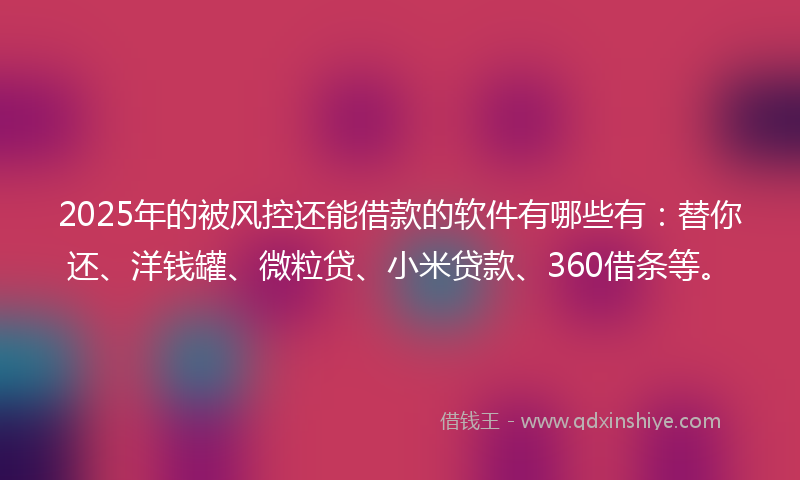 2025年的被风控还能借款的软件有哪些有：替你还、洋钱罐、微粒贷、小米贷款、360借条等。