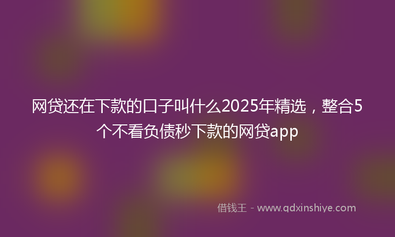 网贷还在下款的口子叫什么2025年精选，整合5个不看负债秒下款的网贷app