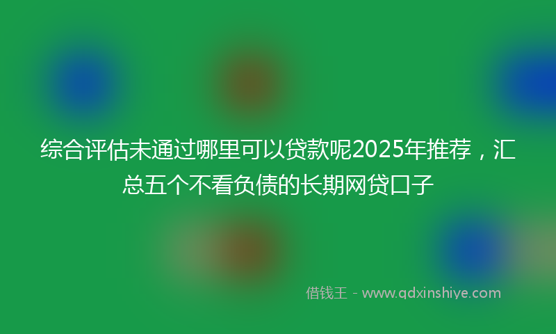 综合评估未通过哪里可以贷款呢2025年推荐，汇总五个不看负债的长期网贷口子