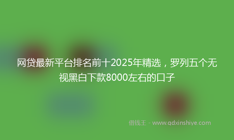 网贷最新平台排名前十2025年精选，罗列五个无视黑白下款8000左右的口子