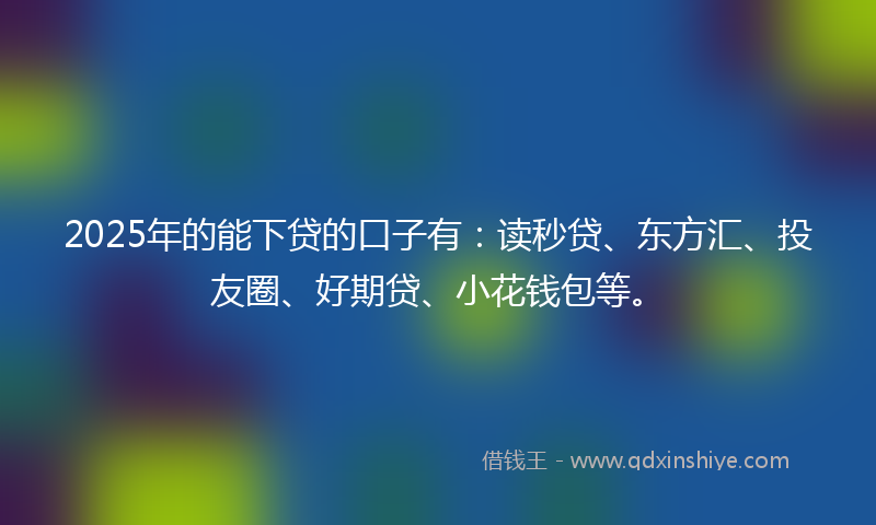 2025年的能下贷的口子有：读秒贷、东方汇、投友圈、好期贷、小花钱包等。