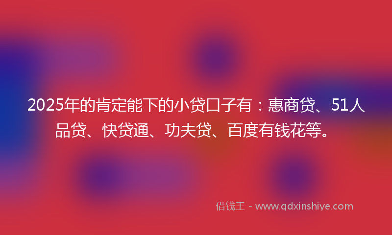 2025年的肯定能下的小贷口子有：惠商贷、51人品贷、快贷通、功夫贷、百度有钱花等。