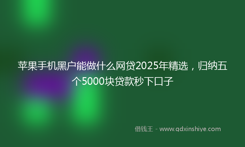 苹果手机黑户能做什么网贷2025年精选，归纳五个5000块贷款秒下口子