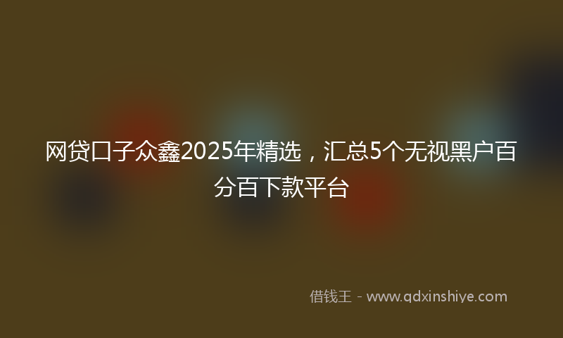 网贷口子众鑫2025年精选，汇总5个无视黑户百分百下款平台