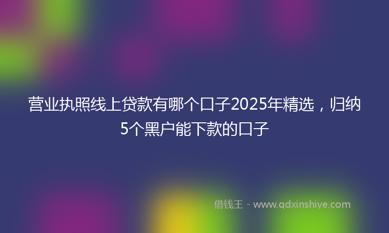 营业执照线上贷款有哪个口子2025年精选，归纳5个黑户能下款的口子
