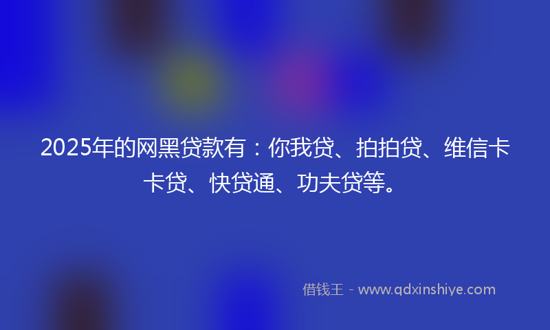 2025年的网黑贷款有：你我贷、拍拍贷、维信卡卡贷、快贷通、功夫贷等。