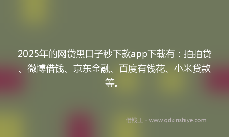 2025年的网贷黑口子秒下款app下载有：拍拍贷、微博借钱、京东金融、百度有钱花、小米贷款等。