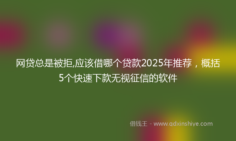 网贷总是被拒,应该借哪个贷款2025年推荐，概括5个快速下款无视征信的软件