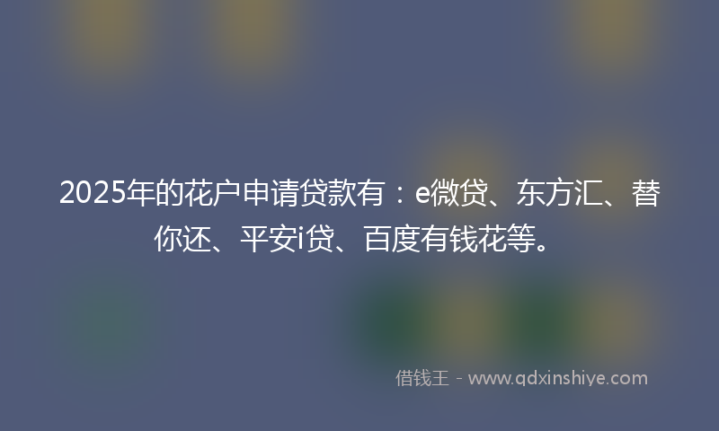 2025年的花户申请贷款有：e微贷、东方汇、替你还、平安i贷、百度有钱花等。