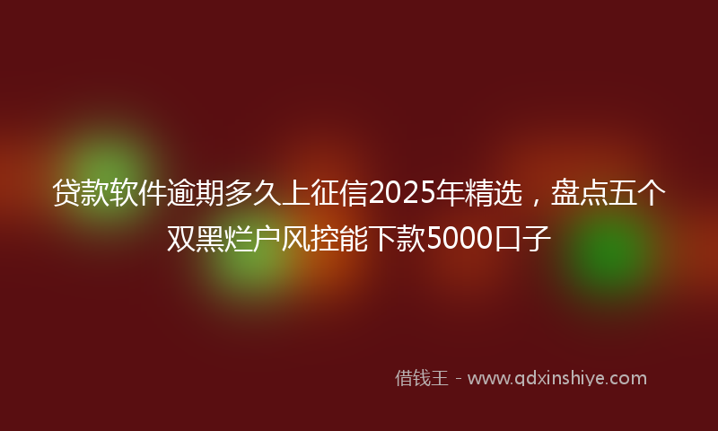 贷款软件逾期多久上征信2025年精选，盘点五个双黑烂户风控能下款5000口子
