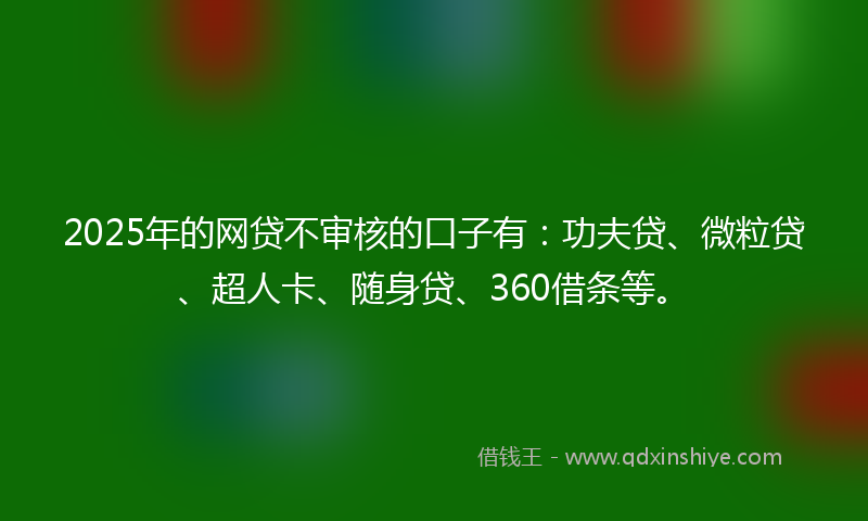 2025年的网贷不审核的口子有：功夫贷、微粒贷、超人卡、随身贷、360借条等。