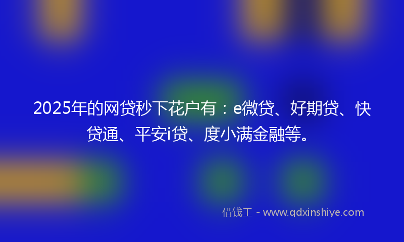 2025年的网贷秒下花户有：e微贷、好期贷、快贷通、平安i贷、度小满金融等。