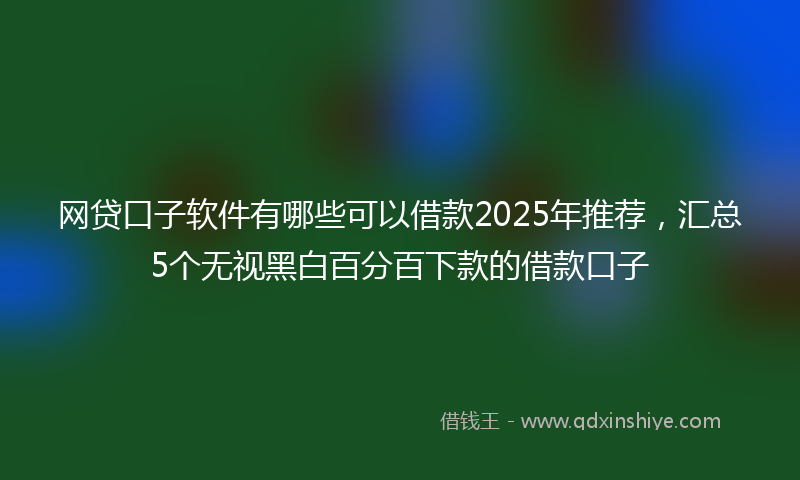 网贷口子软件有哪些可以借款2025年推荐，汇总5个无视黑白百分百下款的借款口子