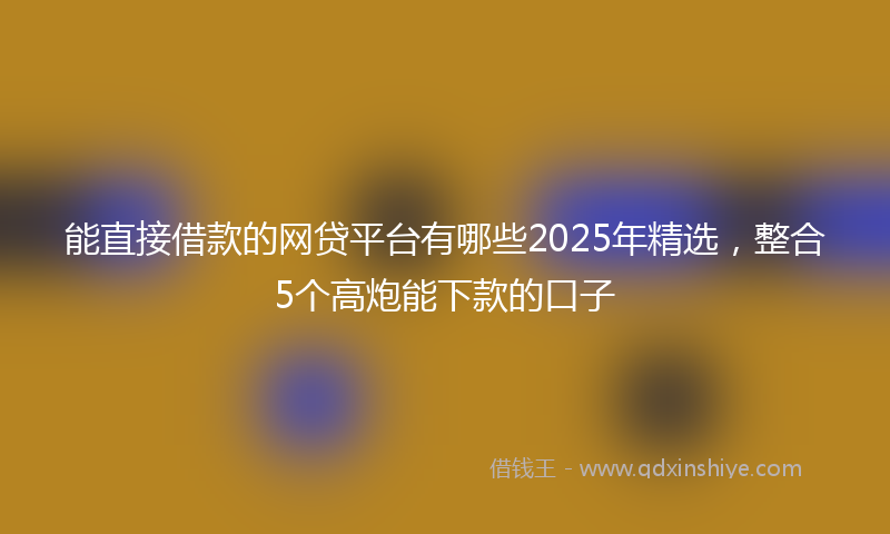 能直接借款的网贷平台有哪些2025年精选，整合5个高炮能下款的口子