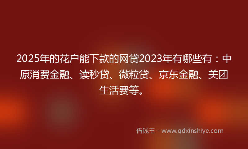 2025年的花户能下款的网贷2023年有哪些有：中原消费金融、读秒贷、微粒贷、京东金融、美团生活费等。