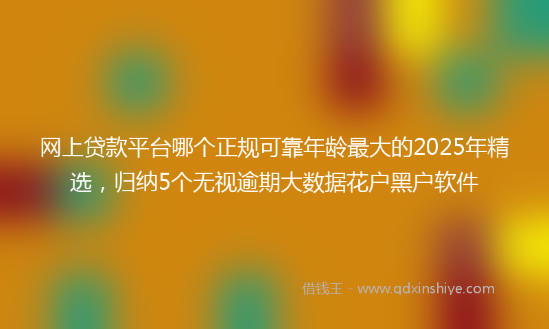 网上贷款平台哪个正规可靠年龄最大的2025年精选，归纳5个无视逾期大数据花户黑户软件