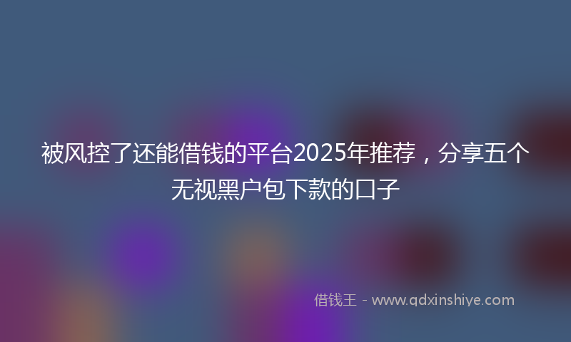 被风控了还能借钱的平台2025年推荐，分享五个无视黑户包下款的口子