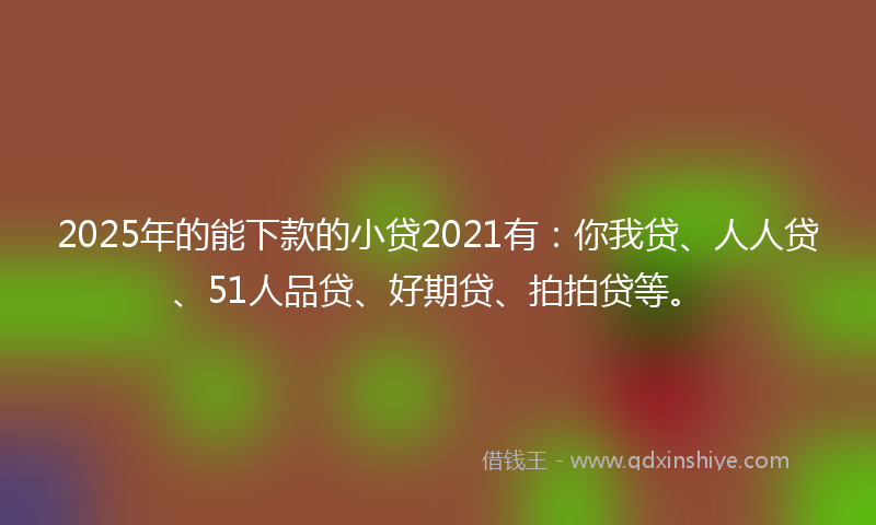 2025年的能下款的小贷2021有：你我贷、人人贷、51人品贷、好期贷、拍拍贷等。