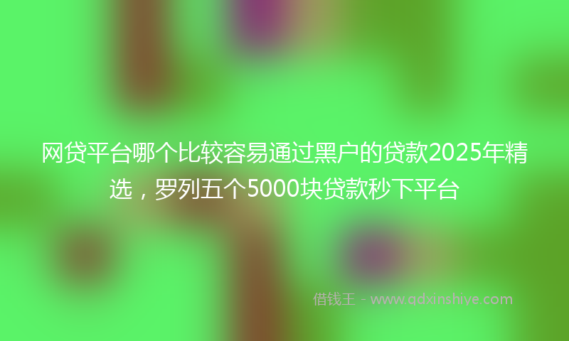 网贷平台哪个比较容易通过黑户的贷款2025年精选，罗列五个5000块贷款秒下平台