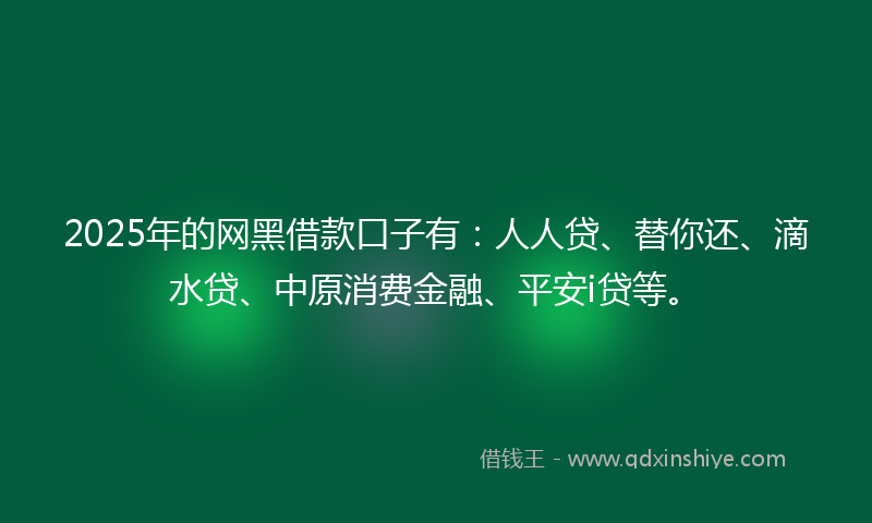 2025年的网黑借款口子有：人人贷、替你还、滴水贷、中原消费金融、平安i贷等。