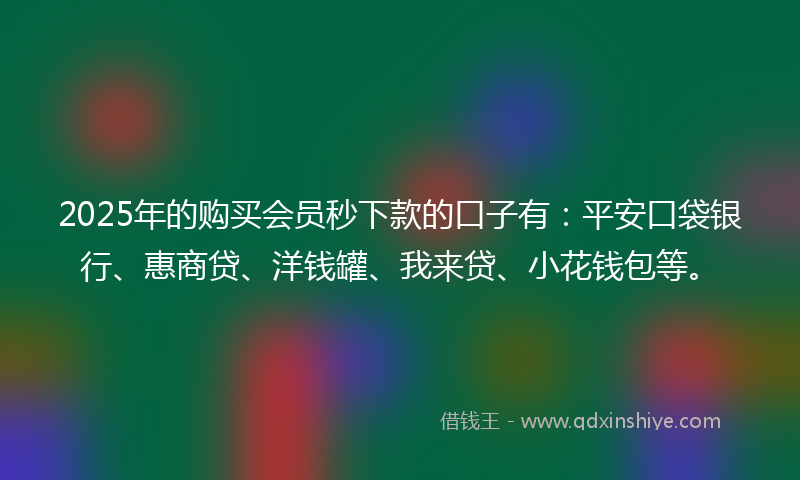 2025年的购买会员秒下款的口子有：平安口袋银行、惠商贷、洋钱罐、我来贷、小花钱包等。