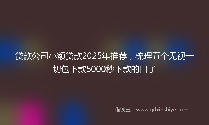 贷款公司小额贷款2025年推荐，梳理五个无视一切包下款5000秒下款的口子