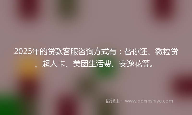 2025年的贷款客服咨询方式有：替你还、微粒贷、超人卡、美团生活费、安逸花等。