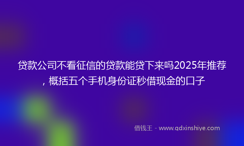 贷款公司不看征信的贷款能贷下来吗2025年推荐，概括五个手机身份证秒借现金的口子