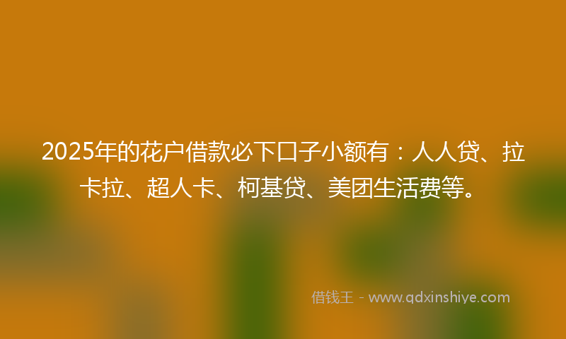 2025年的花户借款必下口子小额有：人人贷、拉卡拉、超人卡、柯基贷、美团生活费等。