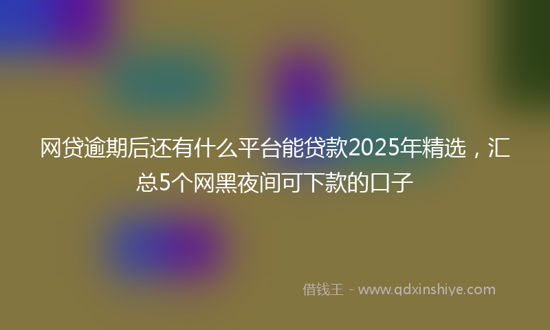 网贷逾期后还有什么平台能贷款2025年精选，汇总5个网黑夜间可下款的口子