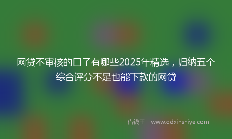 网贷不审核的口子有哪些2025年精选，归纳五个综合评分不足也能下款的网贷