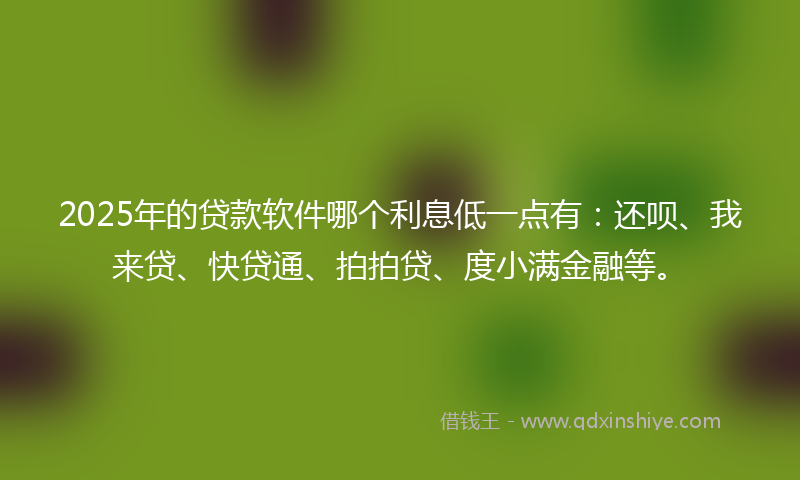 2025年的贷款软件哪个利息低一点有：还呗、我来贷、快贷通、拍拍贷、度小满金融等。