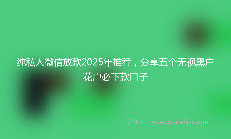 纯私人微信放款2025年推荐，分享五个无视黑户花户必下款口子