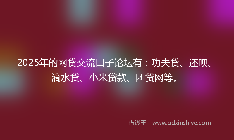 2025年的网贷交流口子论坛有：功夫贷、还呗、滴水贷、小米贷款、团贷网等。