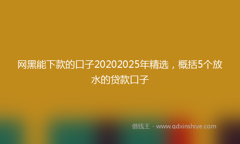 网黑能下款的口子20202025年精选，概括5个放水的贷款口子