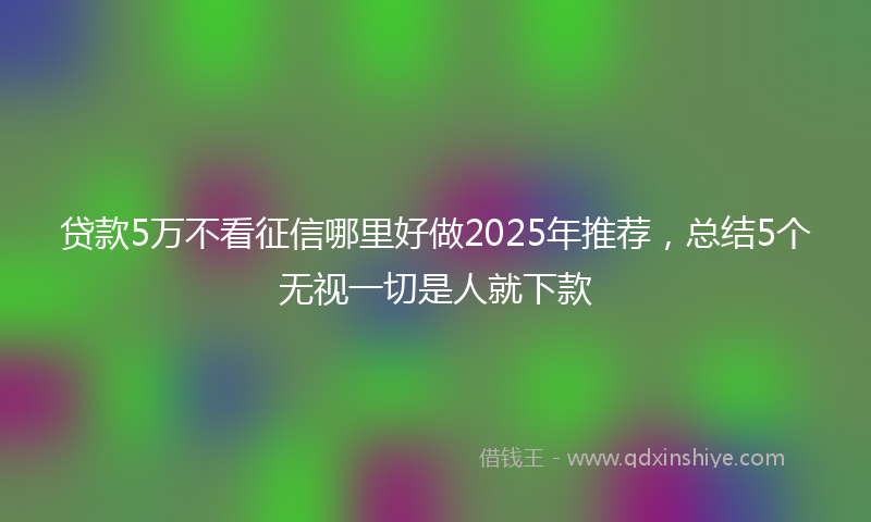 贷款5万不看征信哪里好做2025年推荐，总结5个无视一切是人就下款