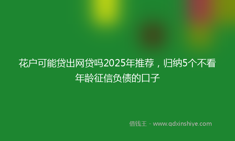 花户可能贷出网贷吗2025年推荐，归纳5个不看年龄征信负债的口子