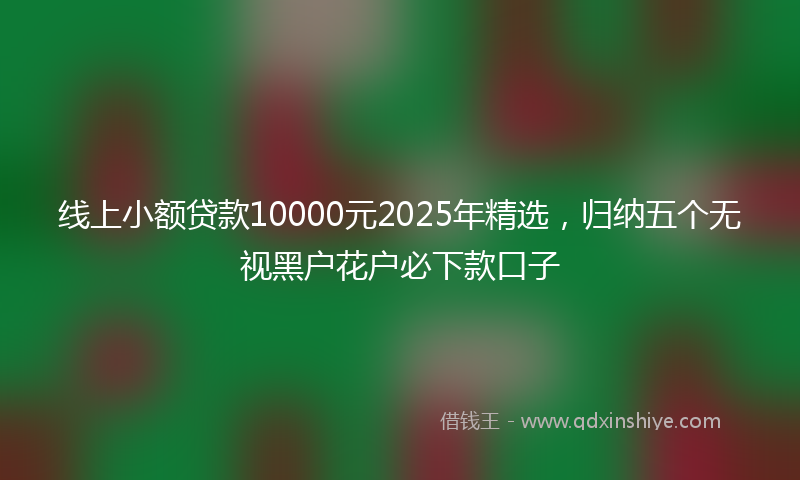 线上小额贷款10000元2025年精选，归纳五个无视黑户花户必下款口子