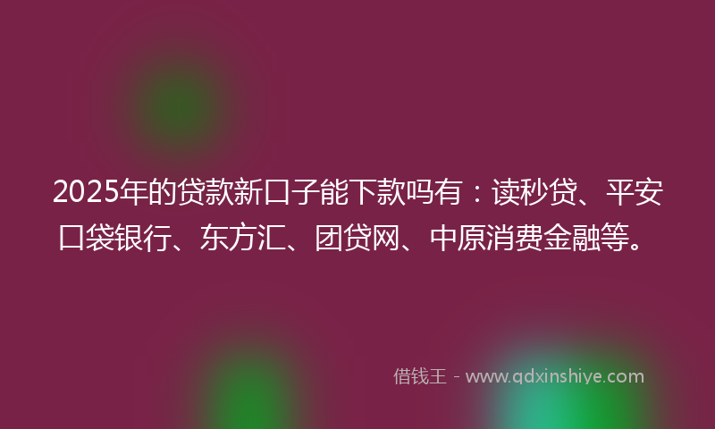 2025年的贷款新口子能下款吗有：读秒贷、平安口袋银行、东方汇、团贷网、中原消费金融等。
