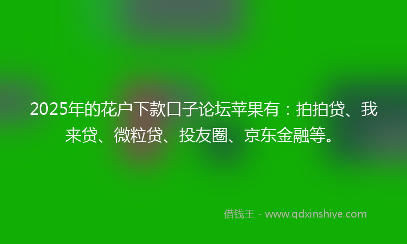 2025年的花户下款口子论坛苹果有：拍拍贷、我来贷、微粒贷、投友圈、京东金融等。