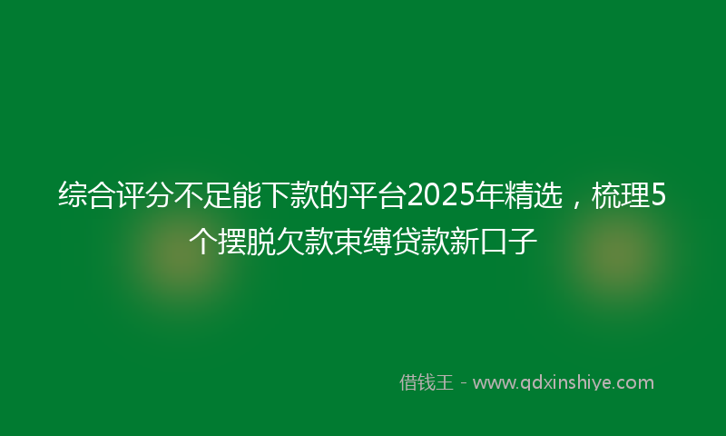 综合评分不足能下款的平台2025年精选，梳理5个摆脱欠款束缚贷款新口子